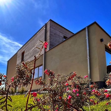 Inova Guesthouse هاسيلت المظهر الخارجي الصورة